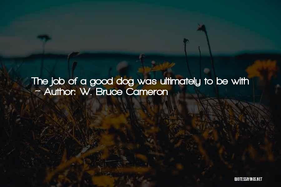 Job Offer Quotes By W. Bruce Cameron