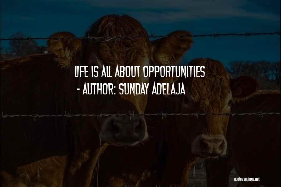 Job Opportunities Quotes By Sunday Adelaja