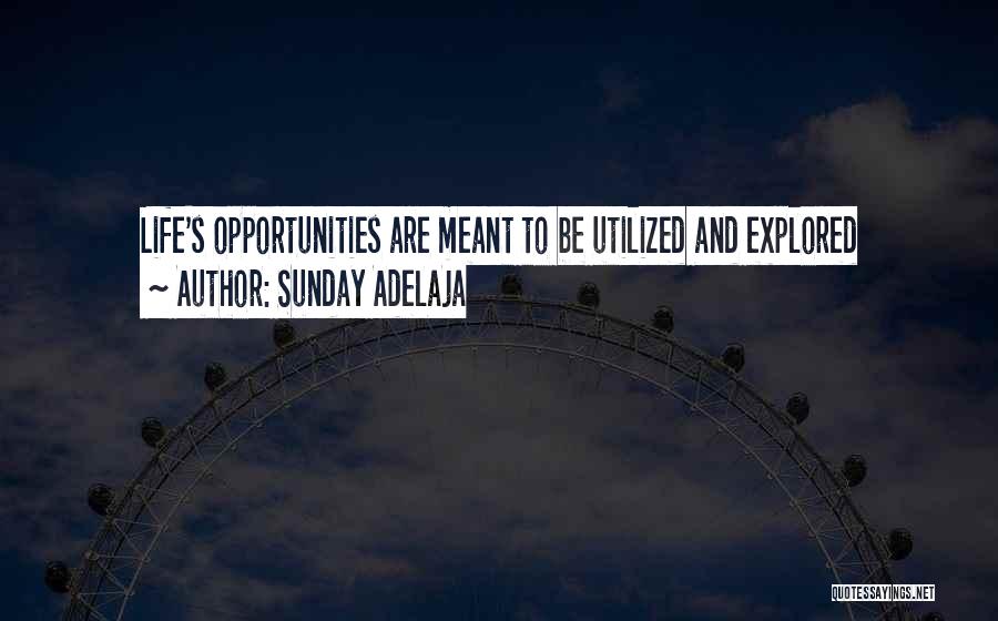 Job Opportunities Quotes By Sunday Adelaja