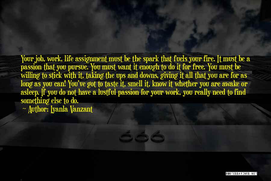 Job Passion Quotes By Iyanla Vanzant