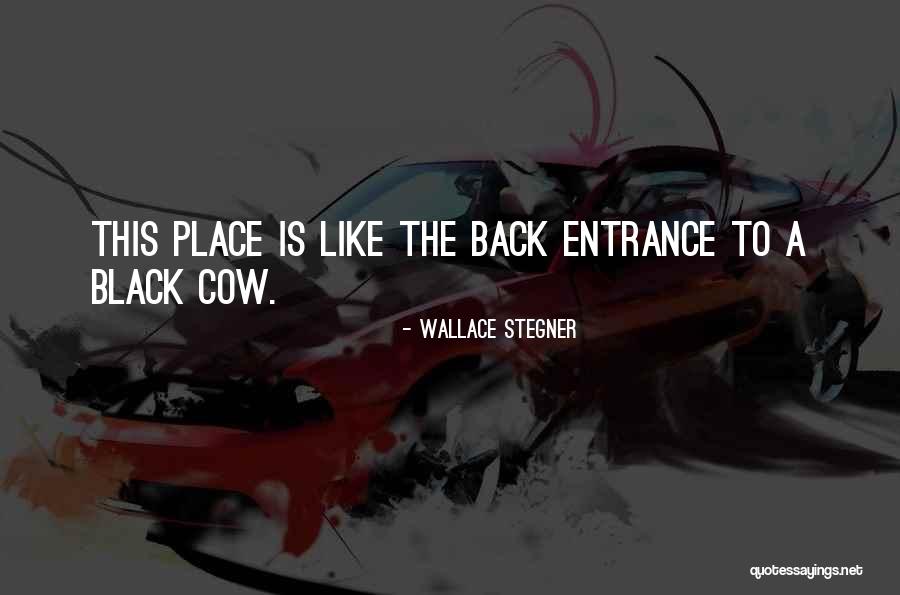 Job Quotations Quotes By Wallace Stegner Job Quotations Quotes By Wallace Stegner
