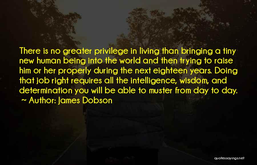 Job Raise Quotes By James Dobson