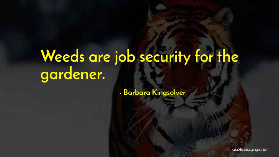 Job Security Quotes By Barbara Kingsolver