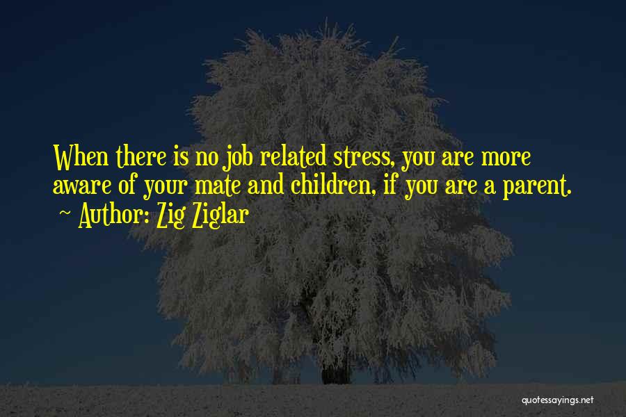 Job Stress Quotes By Zig Ziglar