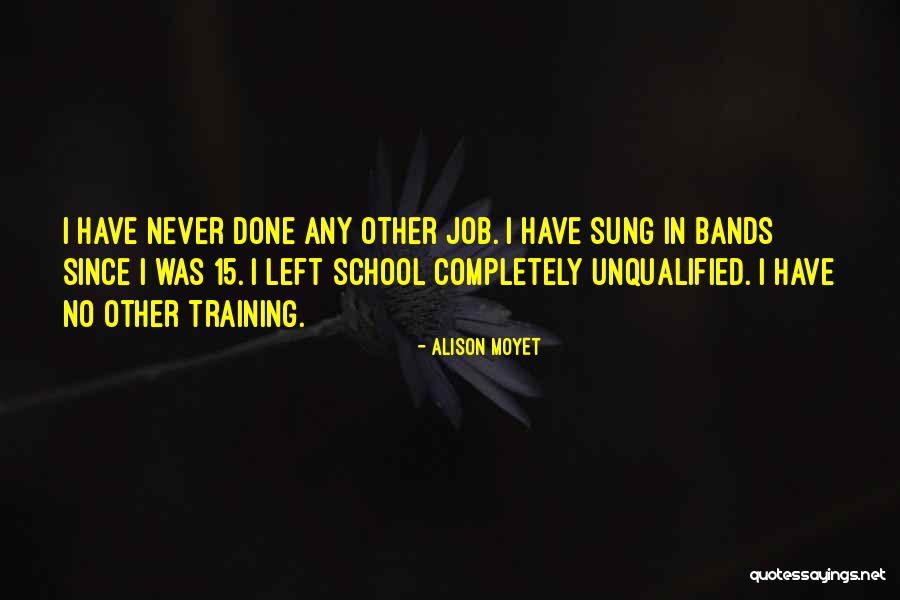 Job Training Quotes By Alison Moyet