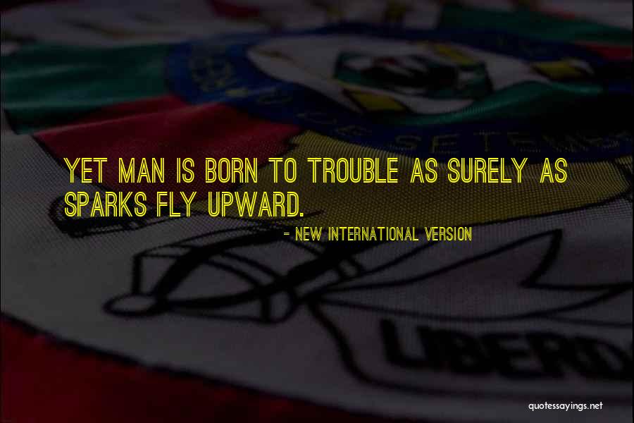 Job Trouble Quotes By New International Version Job Trouble Quotes By New International Version