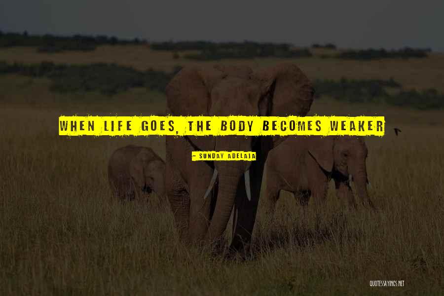 Joblessness Quotes By Sunday Adelaja Joblessness Quotes By Sunday Adelaja