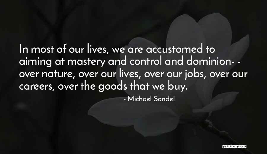 Jobs And Careers Quotes By Michael Sandel