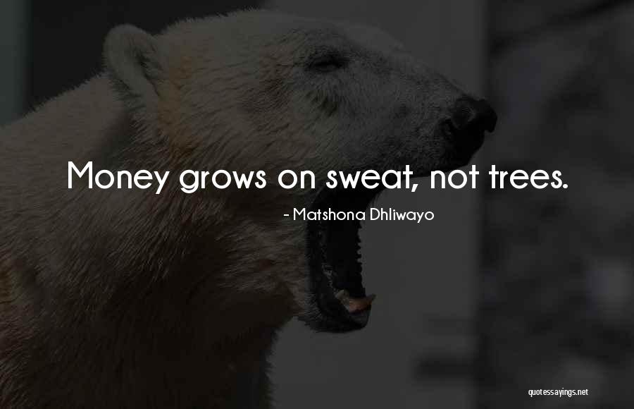 Jochebed Moses Quotes By Matshona Dhliwayo