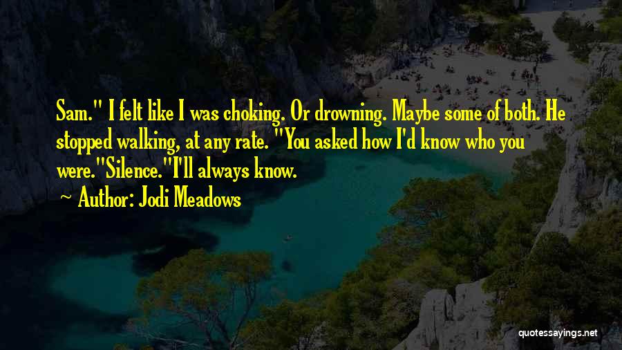 Jodi Meadows Quotes 1316060