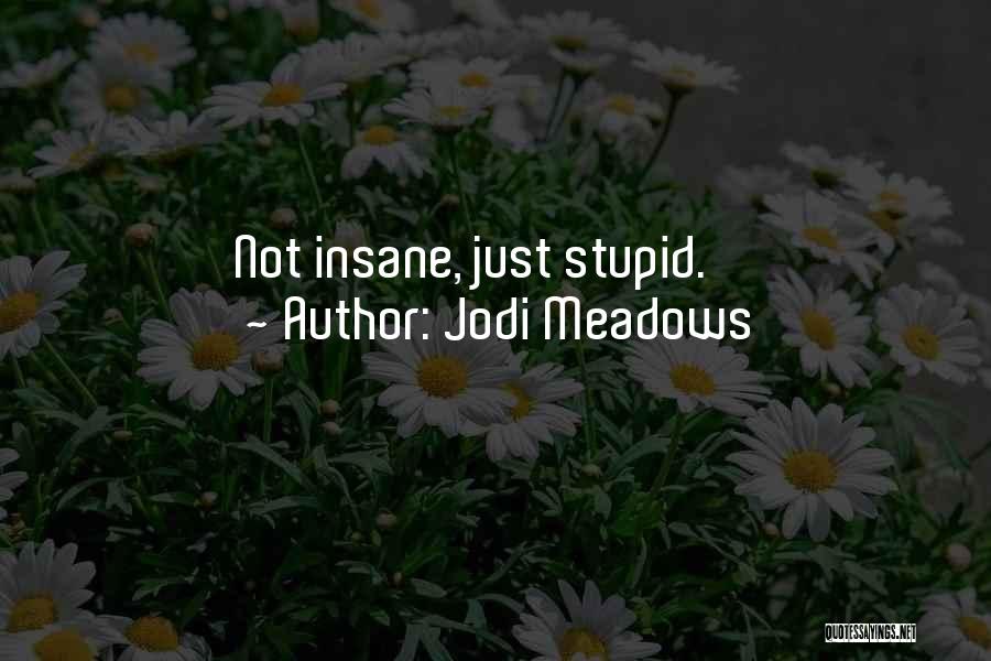 Jodi Meadows Quotes 1528925