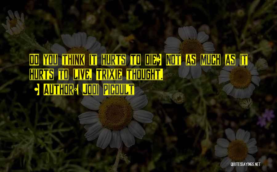 Jodi Picoult Quotes 1390300