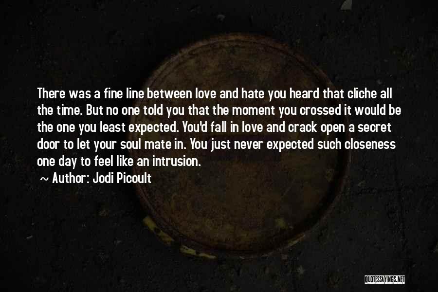 Jodi Picoult Quotes 470317