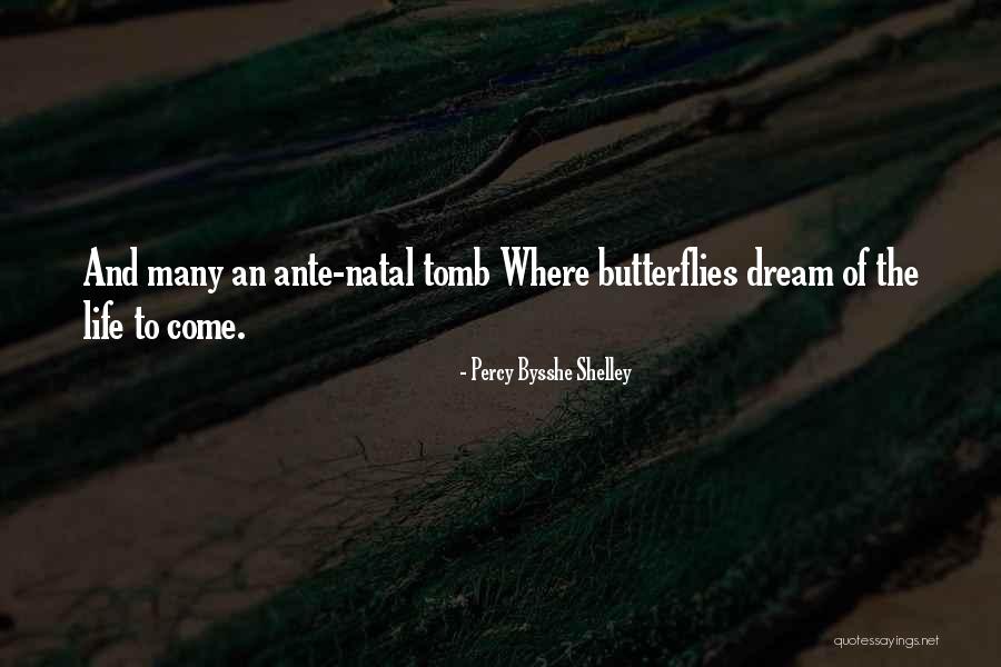 Jodorowski Quotes By Percy Bysshe Shelley Jodorowski Quotes By Percy Bysshe Shelley