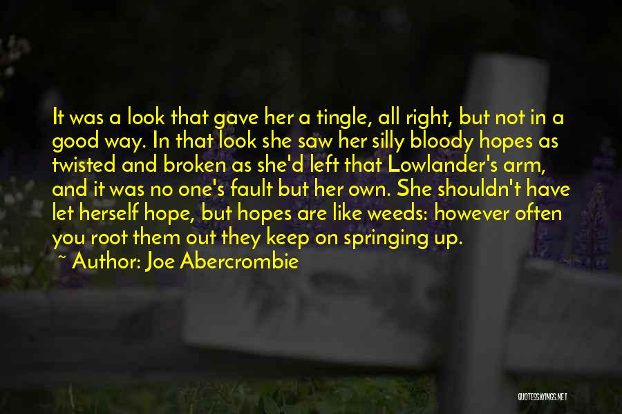 Joe Abercrombie Quotes 2115211