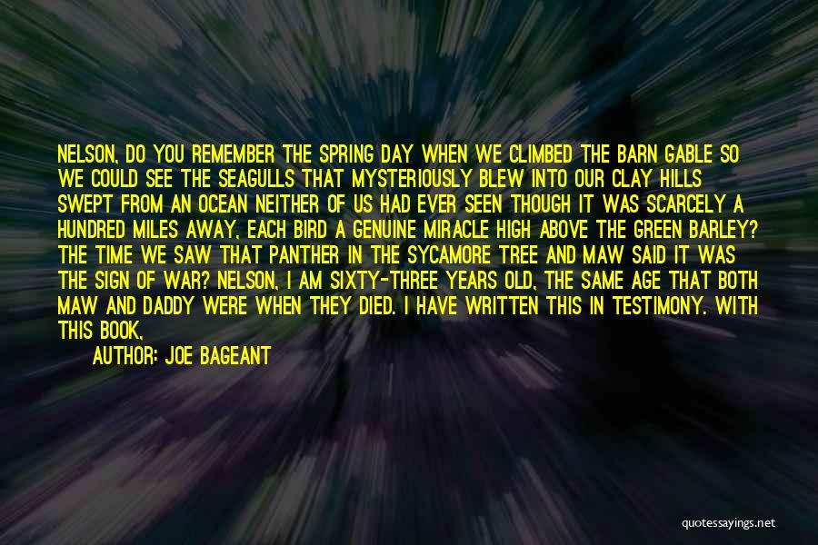 Joe Bageant Quotes 495752