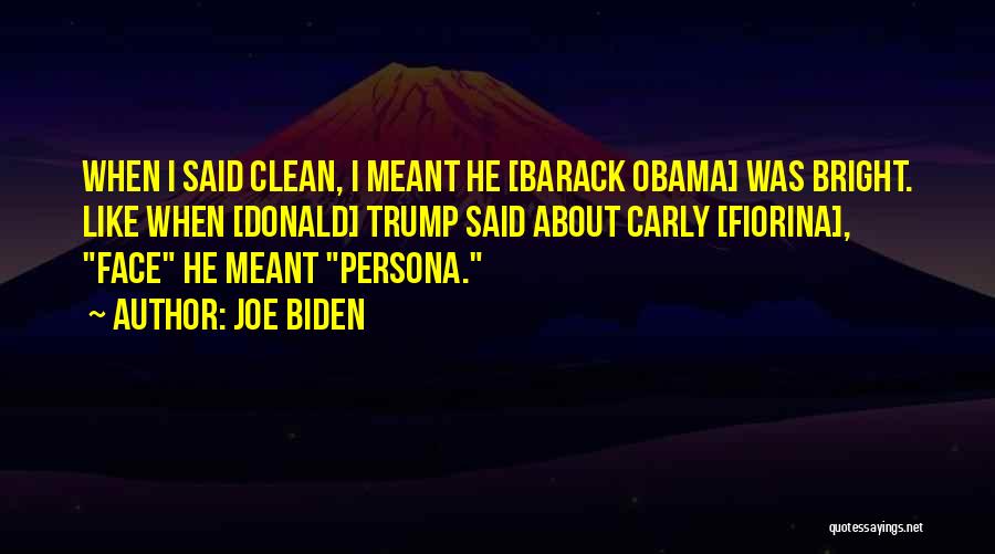 Joe Biden Quotes 191317