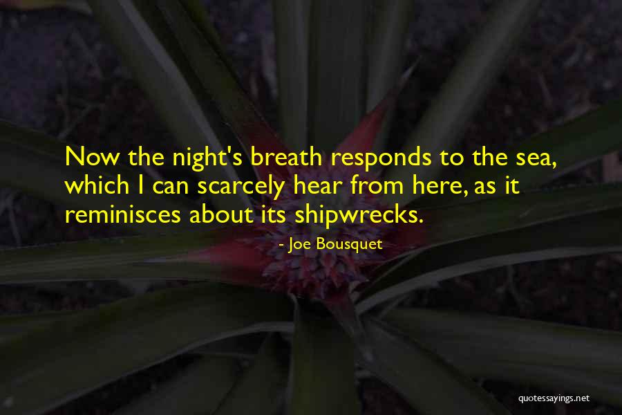 Joe Bousquet Quotes 180104 Joe Bousquet Quotes 180104