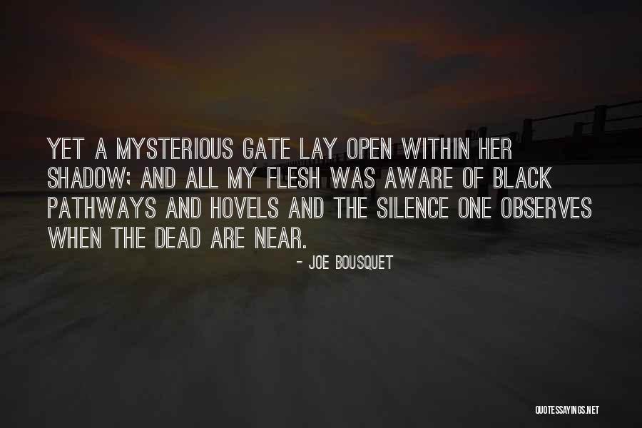Joe Bousquet Quotes 197611 Joe Bousquet Quotes 197611