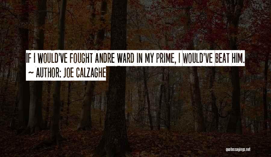 Joe Calzaghe Quotes 1728522