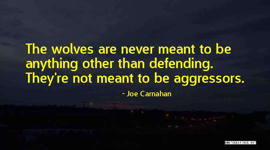 Joe Carnahan Quotes 1921646