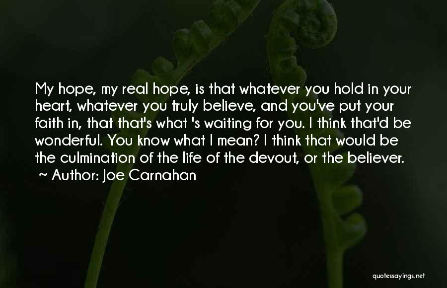 Joe Carnahan Quotes 371467
