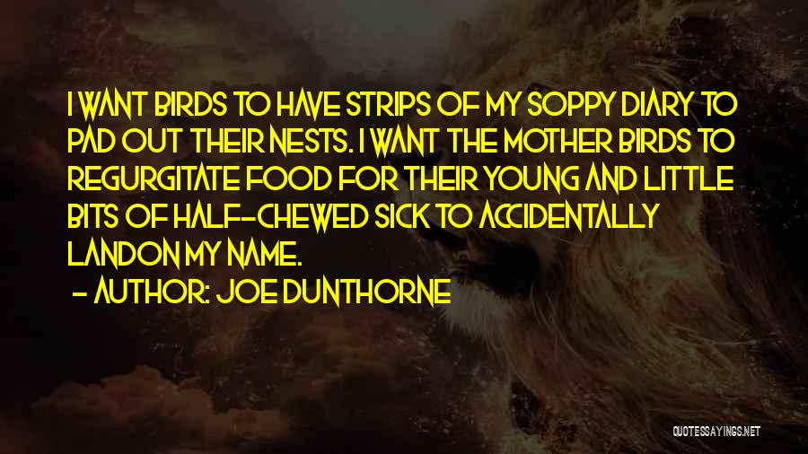 Joe Dunthorne Quotes 553035