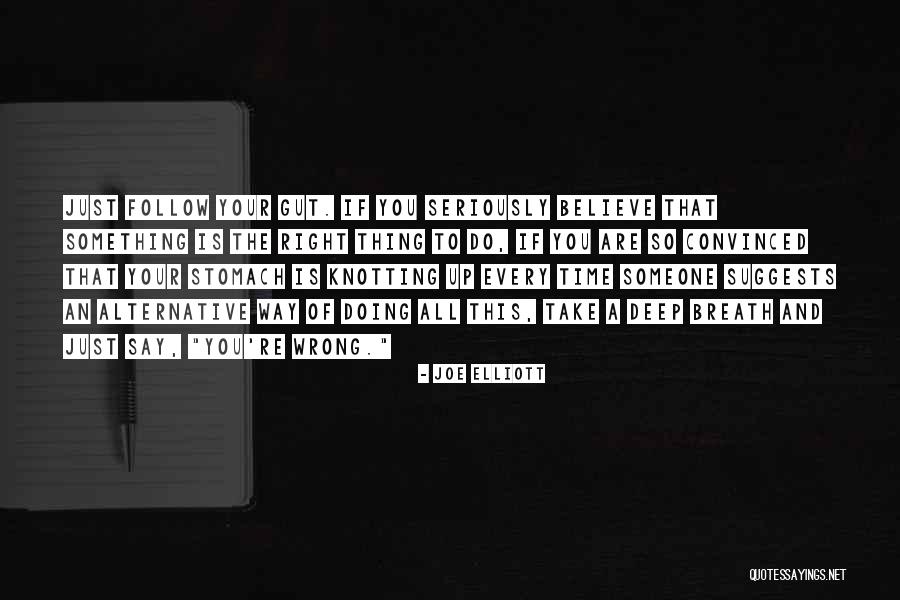 Joe Elliott Quotes 985742 Joe Elliott Quotes 985742