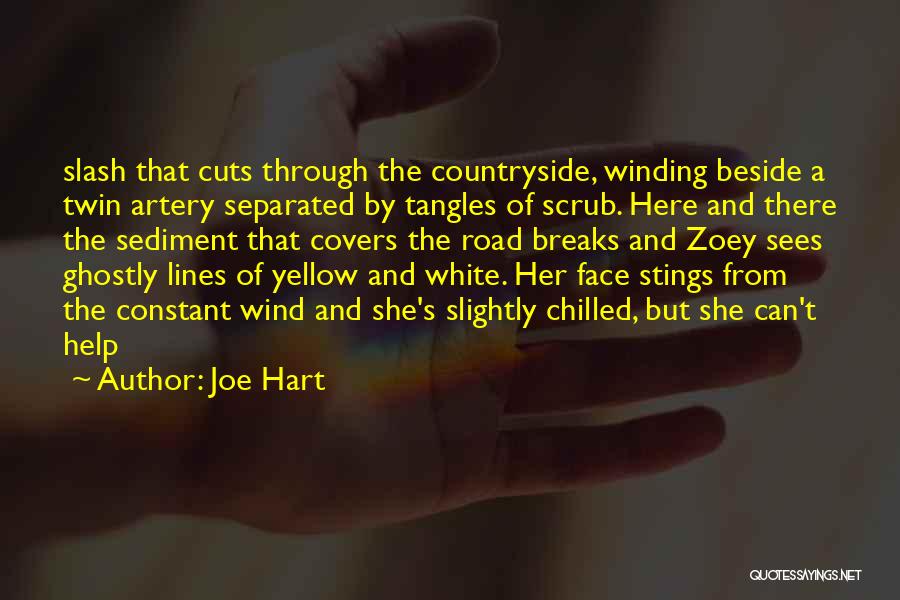Joe Hart Quotes 1014126