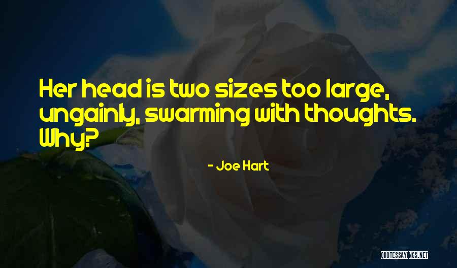 Joe Hart Quotes 1424952