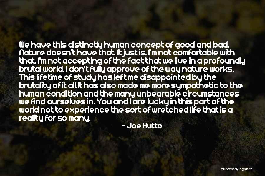 Joe Hutto Quotes 1819948