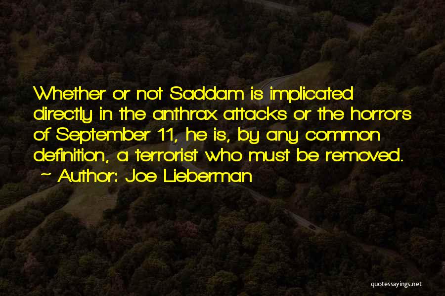 Joe Lieberman Quotes 1056295