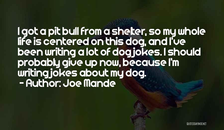 Joe Mande Quotes 405501