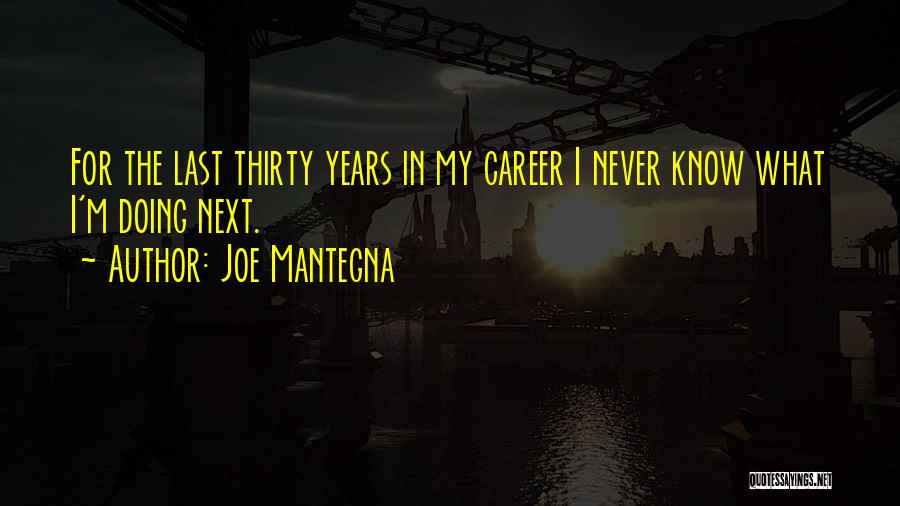 Joe Mantegna Quotes 1719899