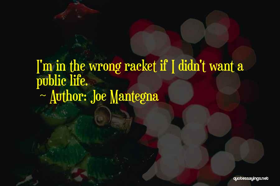 Joe Mantegna Quotes 1776883