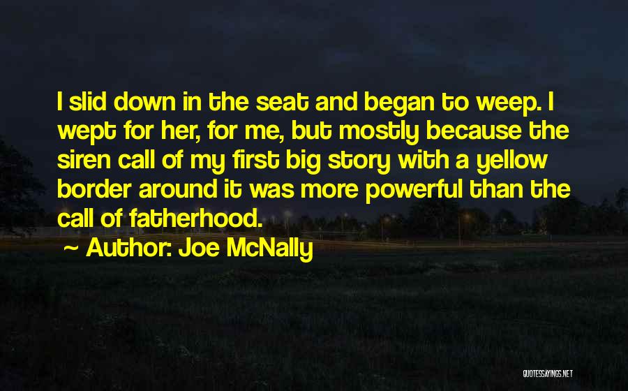 Joe McNally Quotes 467820