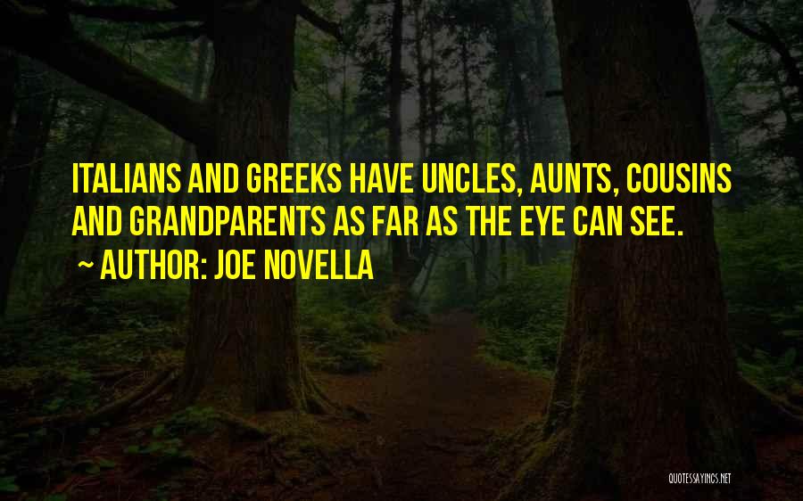 Joe Novella Quotes 2131618