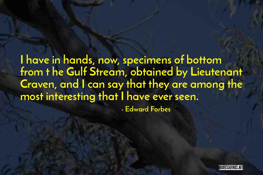 Joe Paternoster Quotes By Edward Forbes Joe Paternoster Quotes By Edward Forbes