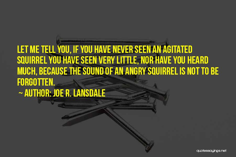 Joe R. Lansdale Quotes 1654714