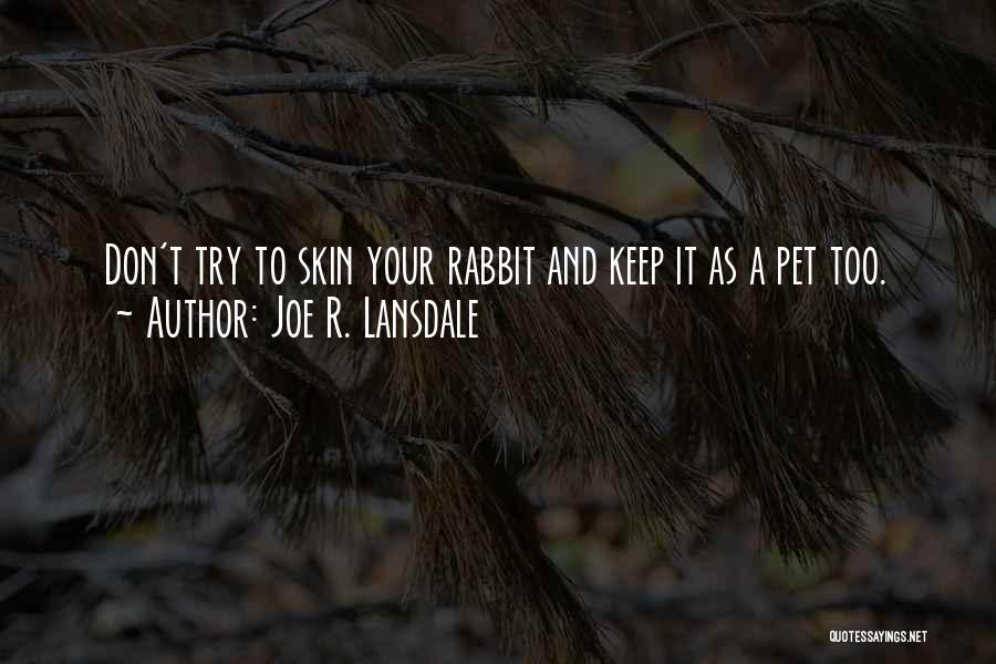 Joe R. Lansdale Quotes 379803