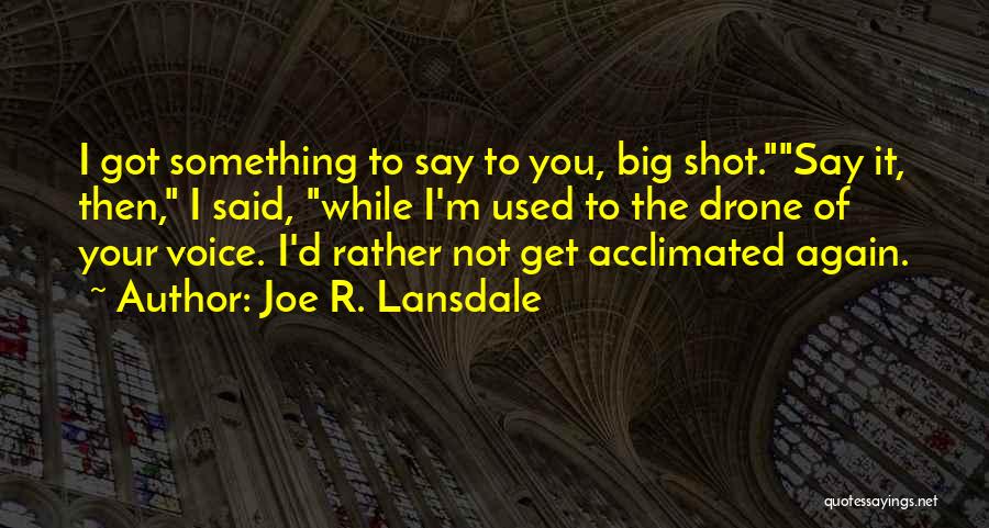 Joe R. Lansdale Quotes 90238