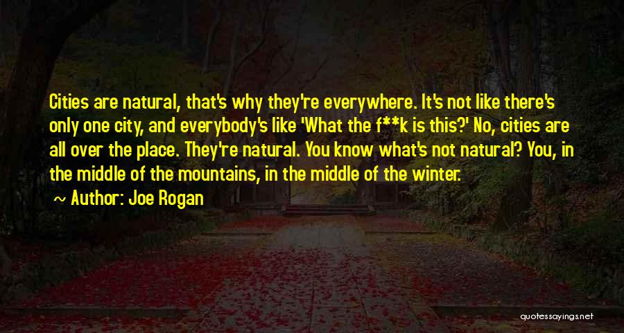 Joe Rogan Quotes 2069307