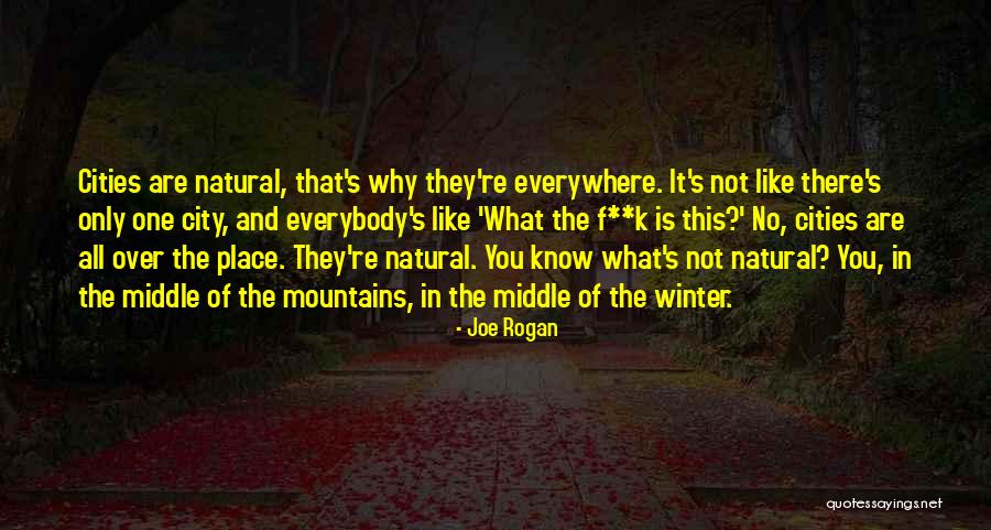 Joe Rogan Quotes 2069307