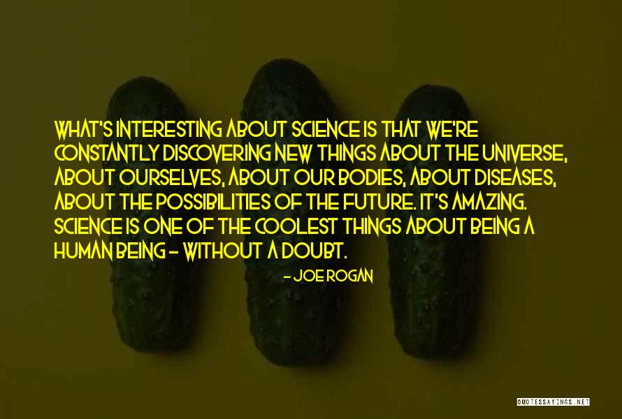 Joe Rogan Quotes 2096769 Joe Rogan Quotes 2096769