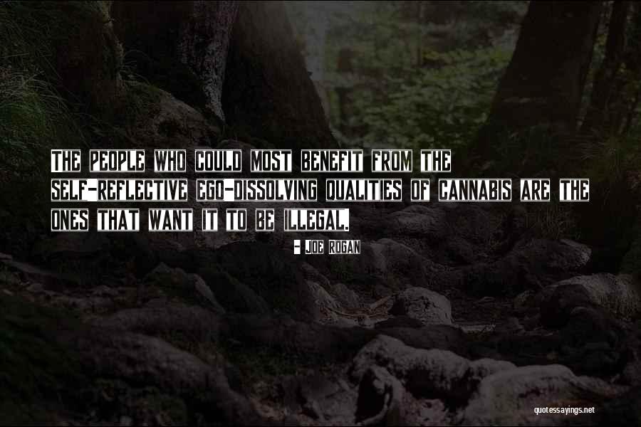 Joe Rogan Quotes 357656 Joe Rogan Quotes 357656