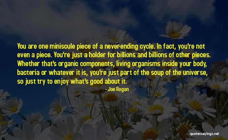 Joe Rogan Quotes 760413 Joe Rogan Quotes 760413