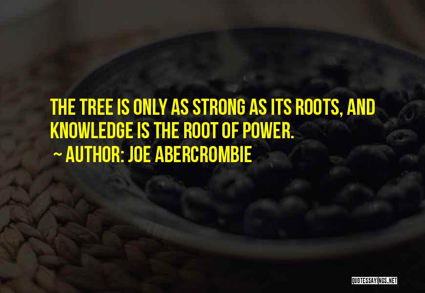 Joe Root Quotes By Joe Abercrombie