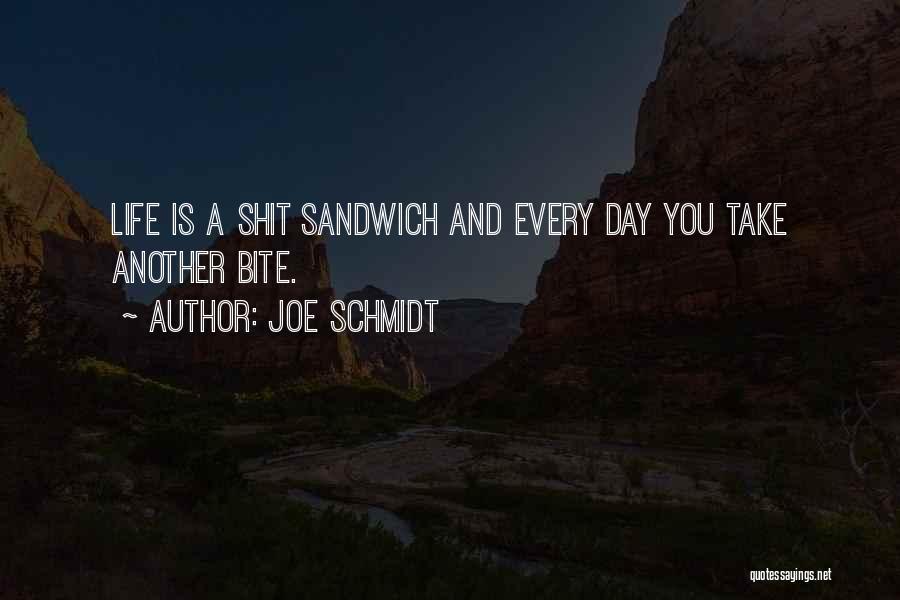 Joe Schmidt Quotes 1475236