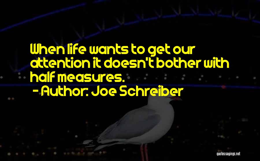 Joe Schreiber Quotes 1427032