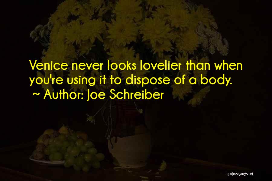 Joe Schreiber Quotes 1875210